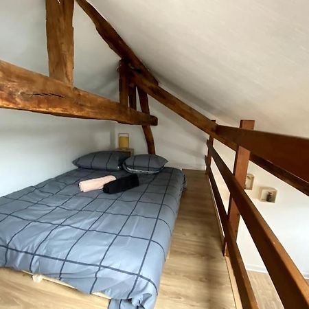 Le Cocon - Appartement En Hyper Centre Блоа Екстериор снимка