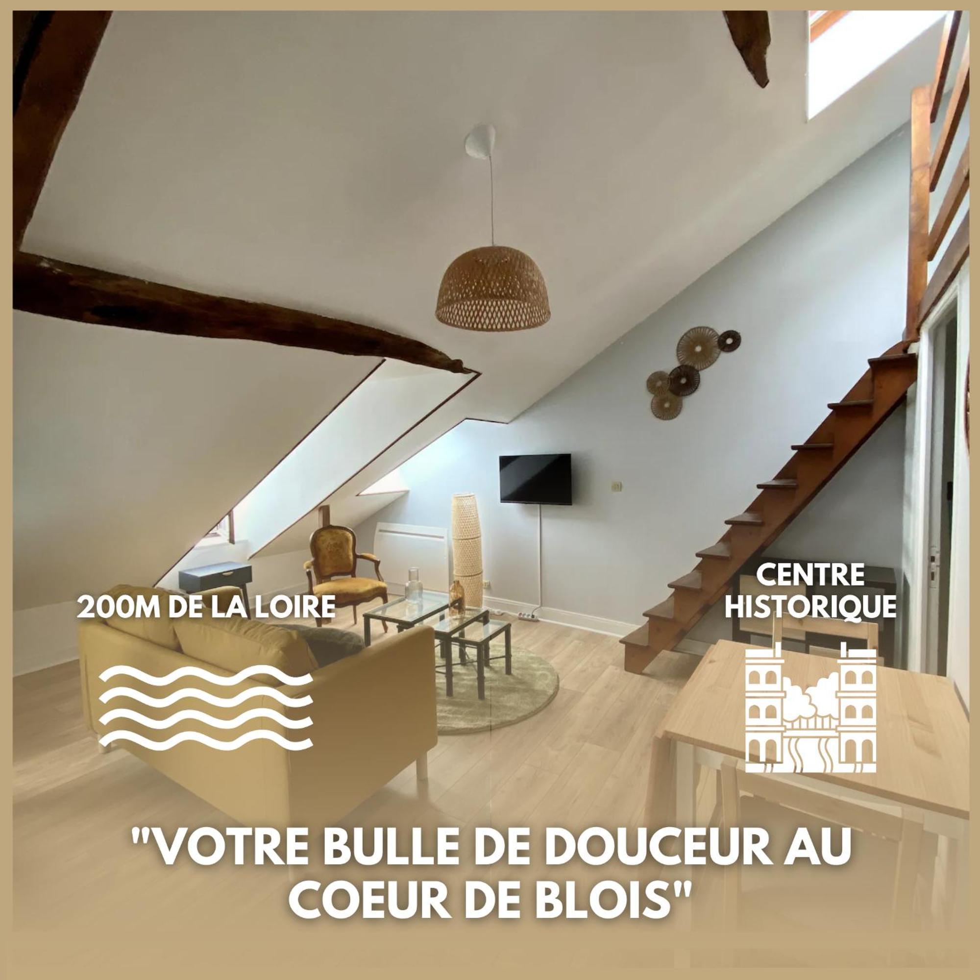 Le Cocon - Appartement En Hyper Centre Блоа Екстериор снимка